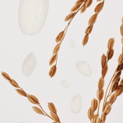 [Beauty of Joseon] Glow Deep Serum: Rice + Alpha-Arbutin 30ml